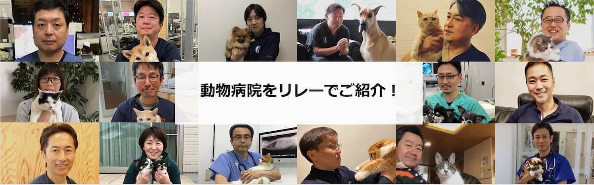 動物病院をリレーでご紹介